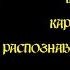 Мастера Махамудры и Дзогчен Карма Чагме Распознавание Махамудры Часть 9