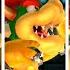 Evolution Of Bowser Falling In Lava 1985 2020