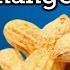 The Crazy History Of Peanuts And Peanut Butter