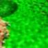 РЕАКЦИЯ Игорилы на иГорильная ферма RYTP RYTP Happy Lime Нарезка со стрима Игоря