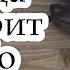 Когда говорит небо христианский рассказ Светлана Тимохина МСЦ ЕХБ Новинка 2019