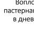 Секция 2 Дневники и записные книжки