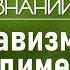 Почему мурашки и зубы мудрости стали бесполезны Лекция антрополога Елены Судариковой