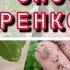 ОБ ЭТОМ СПОСОБЕ ВЫ ТОЧНО НЕ ЗНАЛИ легкое садоводство цветоводство и огородничество