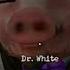 Mr Meat 2 Terry Andrew Prisoner Dr White Voice Lines