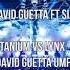 David Guetta Vs Brooks Titanium Vs Lynx David Guetta Mashup Brayan Ü Remake