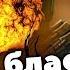 БЛАСТЕРЫ МОЩНЕЕ ЧЕМ ВЫ ДУМАЛИ ЛорЗВ 259
