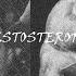 Testosterone Edit Bero 02