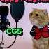 베니의 Sleep Well CG5 Poppy Playtime 파피 플레이타임 Cover By Benny The Cat Shorts