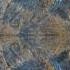 Prog Rock Meeting Point Progressive Rock Art Rock Ambient