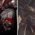 Все литералы Assassin S Creed