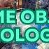 Slavoj Zižek S The Sublime Object Of Ideology Explained