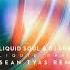 Liquid Soul DJ Dream Liquid Dream Sean Tyas Remix