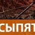 Наступление ВСУ под Бахмутом Минобороны РФ признало что отступило с позиций ВЫПУСК НОВОСТЕЙ