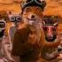 Roald Dahl Fantastic Mr Fox Потрясающий Мистер Лис топ мистерфокс кино