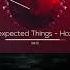 Hozho Unexpected Things