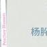 如玉 Like Jade 杨肸子 Yang Xizi 念念人间玉 The Fragments Of Kylin Chi Eng Pinyin Lyrics