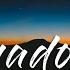 ROY KNOX X WTCHOUT Shadows Lyrics Feat Sviivan