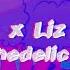 Sg603 Psychedelic Love Feat Liz Ridgely