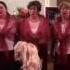 Караваны птиц Chor Rosinka Freiburg