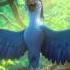 RIO 2 Filmklip Mød Roberto Danmark