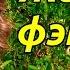 22 Женское фэнтези Безумный сфинкс Левковская и Охотники на тьернов Куно