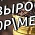 Новый рекорд по моему пассивному доходу портфель акций приносит более 35500р мес дивидендами