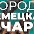 Все о породе НЕМЕЦКАЯ ОВЧАРКА Плюсы и минусы уход характер воспитание дрессировка история