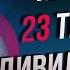 Получил 23 тысяч дивидендами Супер дивиденды сбербанка Считаю дивидендную пенсию