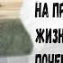 Почему алкоголики не болеют Алкоголь и продолжительность жизни