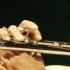 A FLG Maurepas Upload Nat Adderley Quintet The Big J Jazz