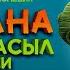 Түпсана және жасыл носки Трейлер В кино с 14 сентября