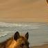 Skeleton Coast Safari The Desert Nature Wasn T Meant To Beat