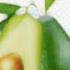 Avacado Pou Avacado Pou Tatata Meme Memes Viral Avacados Pousong Tiktokvideo Tiktok Edit