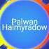 Palwan Halmyradow Ayralyk Sowgady