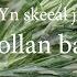 Yn Skeeal Jeh Bollan Bane