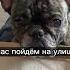 Корочку от пиццы они мне зажали