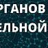 Понятие органов исполнительной власти