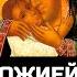 Икона Божией Матери Девпетерувская