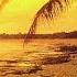 The Goa Mix Paul Oakenfold 1994 Part 1 BBC Essential Mix