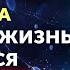 ЭТИ СЛОВА ИЗМЕНЯТ ВАШУ ЖИЗНЬ Как создать новую реальность с помощью простых фраз Научный подход