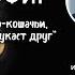 Как понять о чём мяукает друг Регрессологи исследователи РШРИ Татьяна МАКАРОВА и Ирина НИКИТИНА