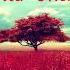 Cool And Lo Fi Beats Non Vocal Mr Chase Wild Cherry
