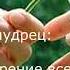Как научиться разбираться в людях
