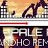 Lagu Acara India Remix Terbaru 2021 PALE PALE Dj Fandho Remix