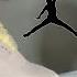 Jordan 4 A Ma Maniere While You Were Sleeping 2024 Review On Foot