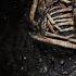 КОСТИ Безумие в глубинке Страшная история