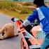 Kise Pucho Comedy Realfoolteam Funny Surajroxteam Realfoolscomedy Automobile Surajroxfu