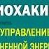 Биохакинг Управление жизненной энергией Игорь Вагин Аудиокнига