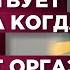 Кончил Узнай что чувствует женщина когда мужчина испытывает оргазм Зачем она тебя доводит